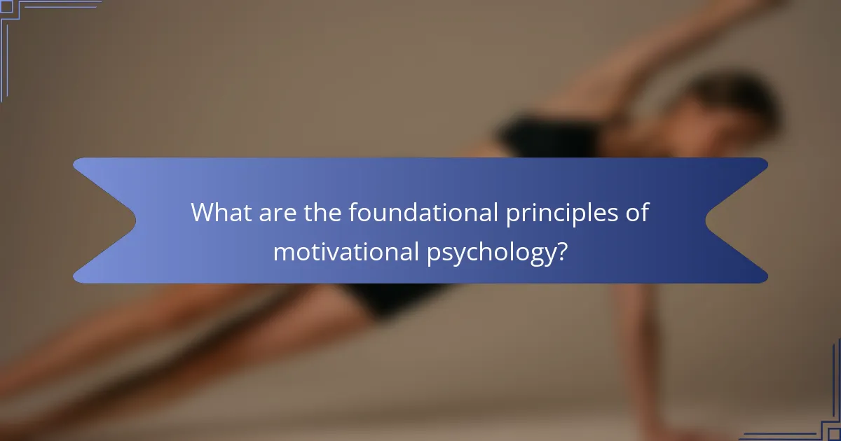 What are the foundational principles of motivational psychology?