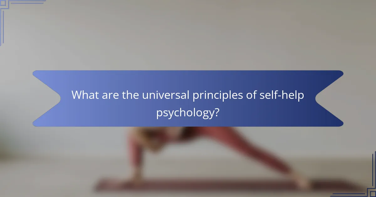 What are the universal principles of self-help psychology?