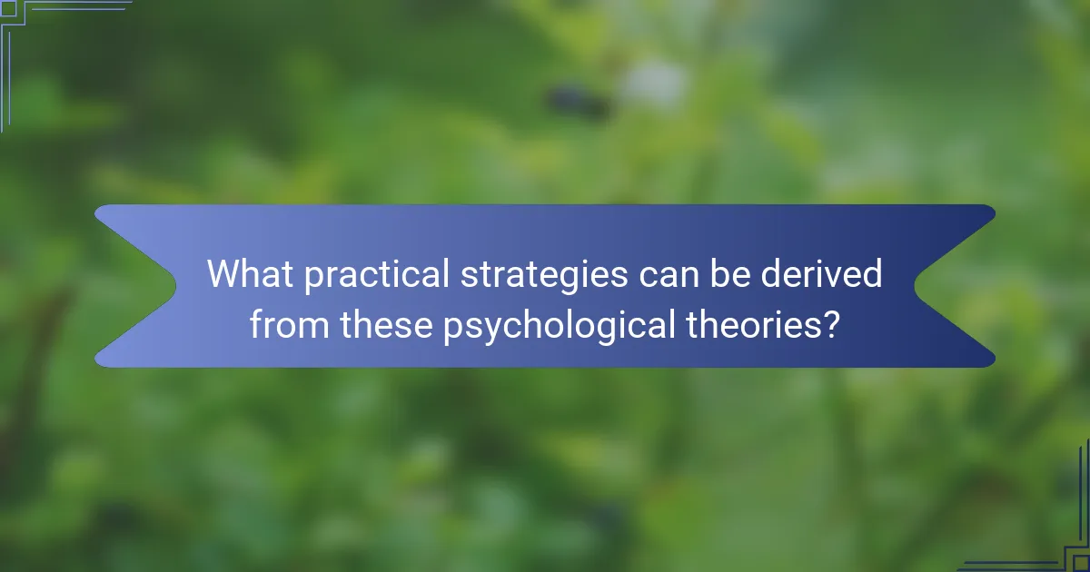 What practical strategies can be derived from these psychological theories?